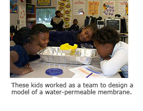 Engineering a Model Membrane Engineering a Model Membrane