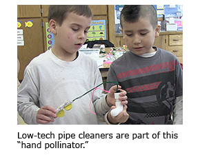 Low-tech pipe cleaners are part of this “hand pollinator.”