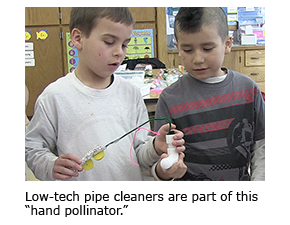 Low-tech pipe cleaners are part of this “hand pollinator.”