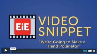2016.01.12__Video_Snippet_Make_a_Hand_Pollinator.jpg