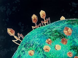outbreak bacteriophages image