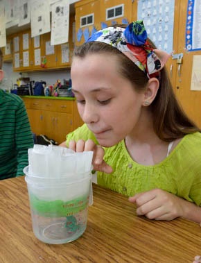 Testing a permeable membrane for a frog habitat.