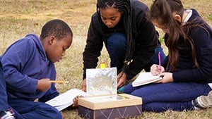 Testing solar ovens