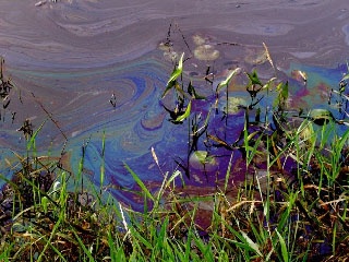 Oil on the water