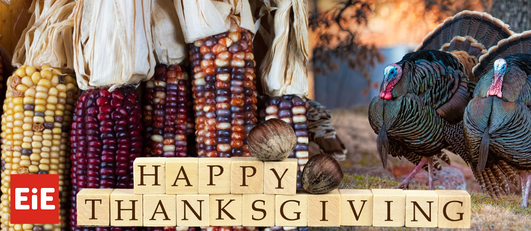 Thanksgiving Banner, EiE Branded: Corn, Turkeys, Blocks that Spell out Happy Thanksgiving